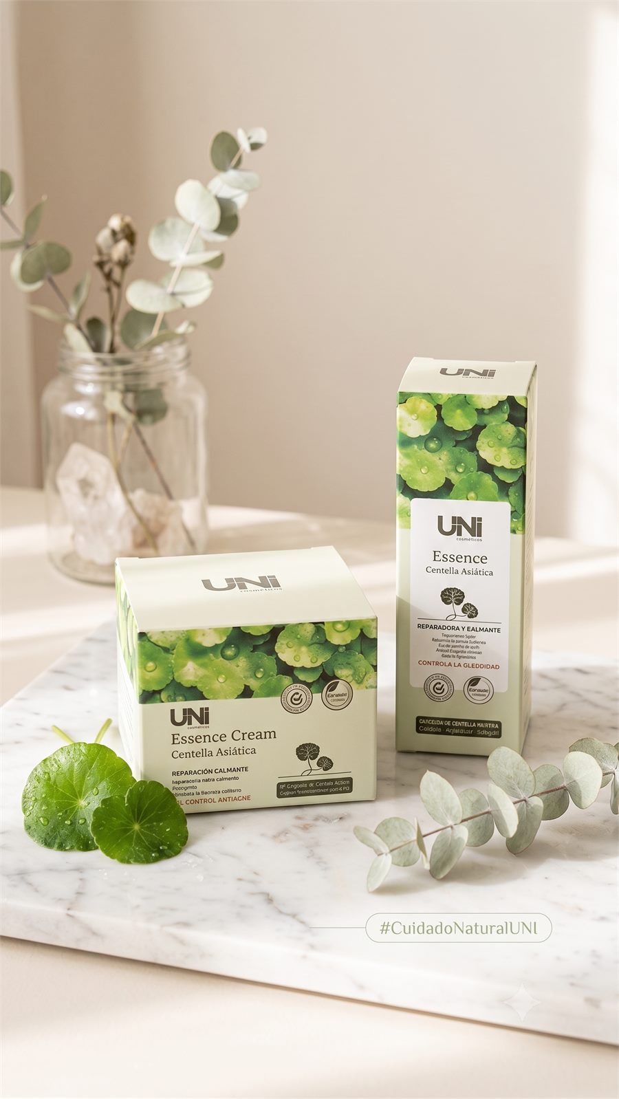 Kit Centella